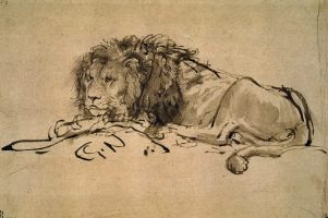 rembrandt lion