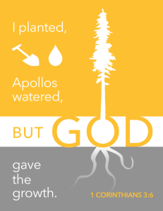 Memory Verse 1 Cor 3.6