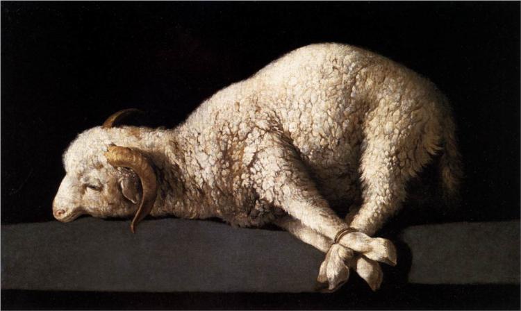 Agnus Dei (Lamb of God) - Francisco de Zurbaran